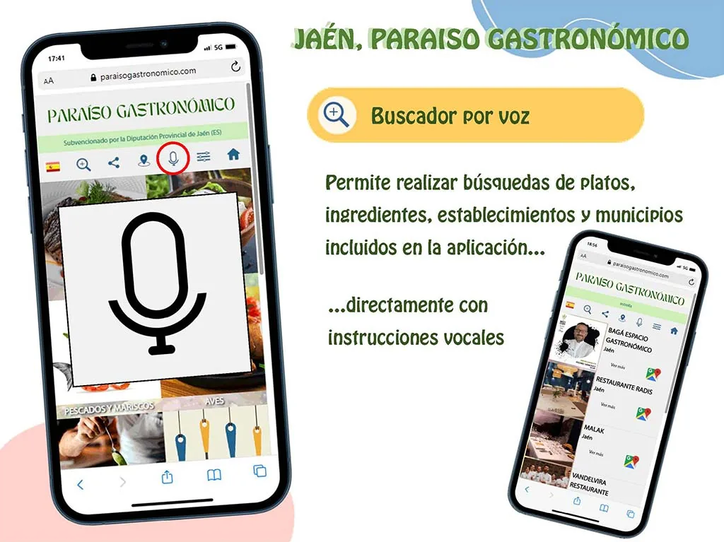 Buscador por voz