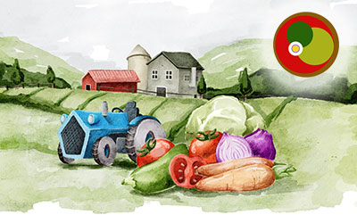 La Pipirrana de Jaén: Tradición, Versatilidad y Celebración Internacional